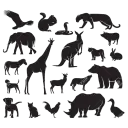 Animal